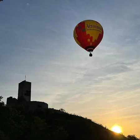 Apartament La Closerie Du Chateau - Vignoble A 10mn De Colmar *