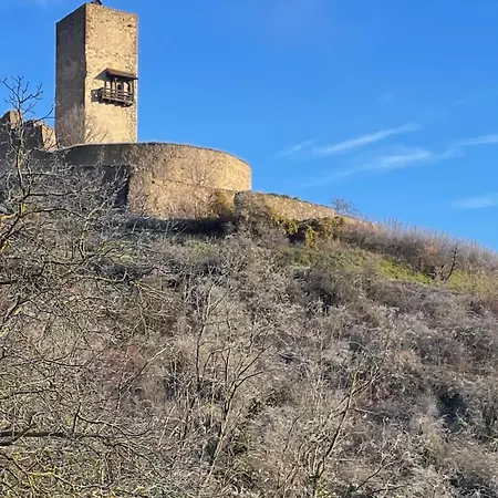 La Closerie Du Chateau - Vignoble A 10mn De Colmar