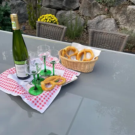 La Closerie Du Chateau - Vignoble A 10mn De Colmar Apartment Katzenthal