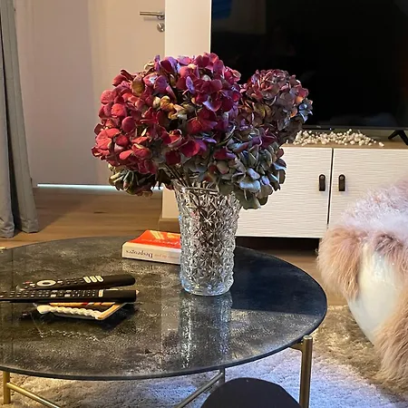 La Closerie Du Chateau - Vignoble A 10mn De Colmar Apartament Katzenthal