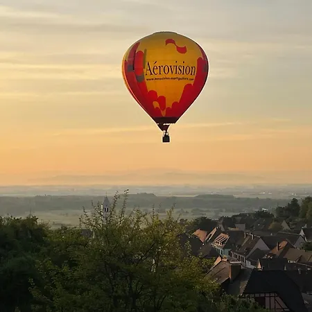 La Closerie Du Chateau - Vignoble A 10mn De Colmar Apartment Katzenthal