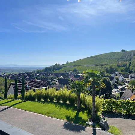 Apartment La Closerie Du Chateau - Vignoble A 10mn De Colmar Katzenthal