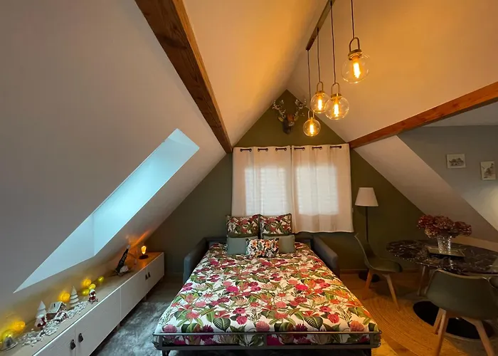 La Closerie Du Chateau - Vignoble A 10mn De Colmar